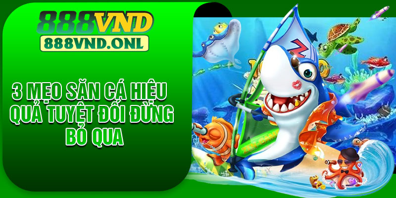 3 mẹo săn cá hiệu quả tuyệt đối đừng bỏ qua
