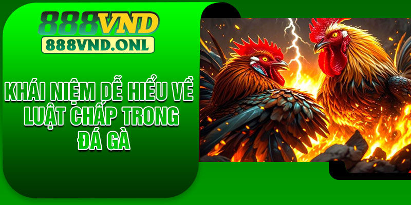 Các hình thức luật chấp đá gà thông dụng