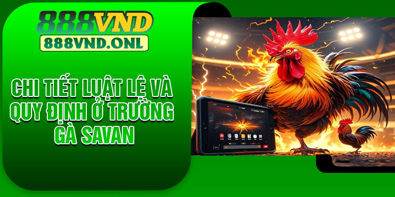 Chi tiết luật lệ và quy định ở trường gà Savan