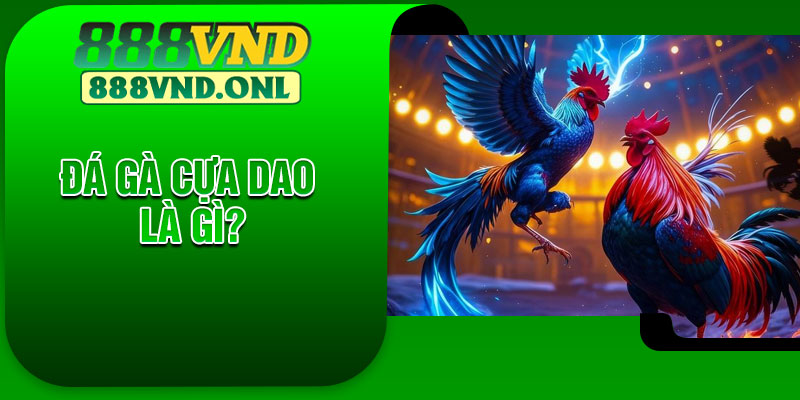 Đá gà cựa dao là gì?