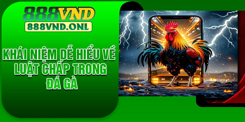 Khái niệm dễ hiểu về luật chấp trong đá gà
