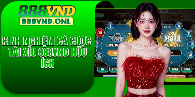 Kinh nghiệm cá cược tài xỉu 888vnd hữu ích