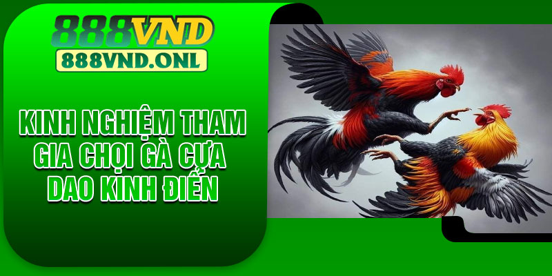 Kinh nghiệm tham gia chọi gà cựa dao kinh điển