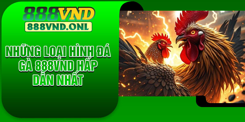 Những loại hình đá gà 888VND hấp dẫn nhất