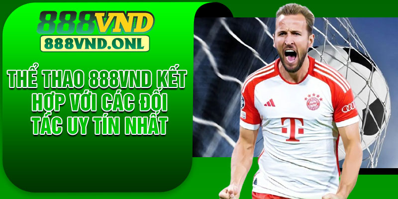 Thể thao 888VND kết hợp với các đối tác uy tín nhất